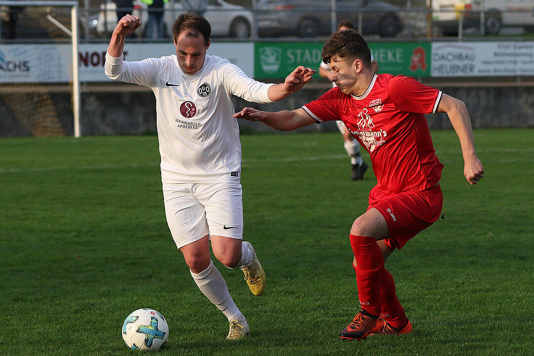 Dettelbach und Ortsteile - TSV/DJK Wiesentheid