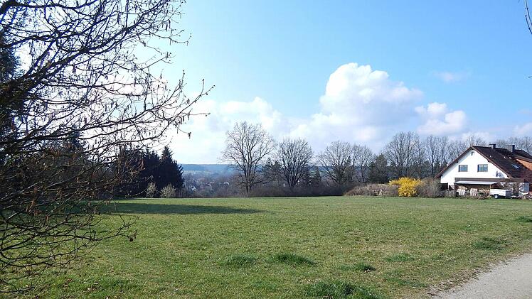 Auf dieser Grünfläche soll das Seniorenheim entstehen. Foto: Archiv/Horst Wunner