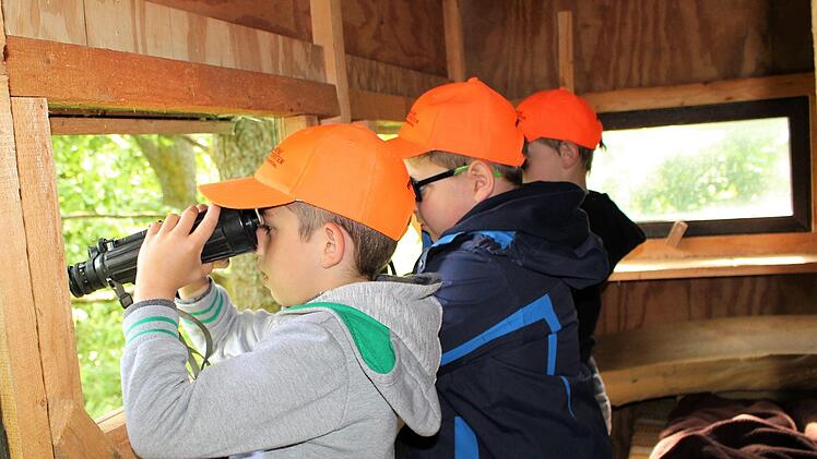 Geschulter Blick vom Hochsitz aus in die Natur.