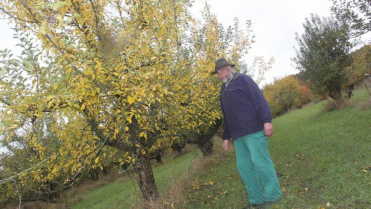 In die Pflege seiner Streuobstanlagen steckt der Horsdorfer Landwirt während des Jahres viel Zeit für die Pflege. Foto: Matthias Einwag