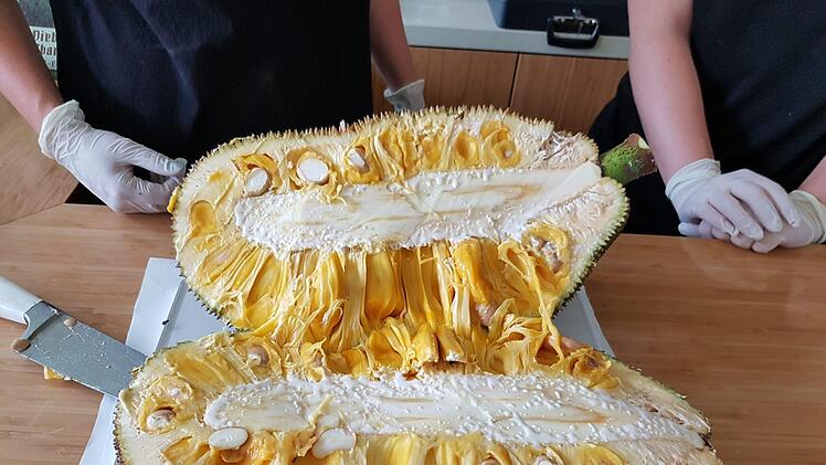 Die Jackfrucht von innenMaria L&ouml;ffler