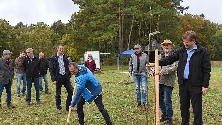Das Bild zeigt von rechts Landrat Hermann Ulm, Wolf-Dietrich Schöber, Claus Schwarzmann, Umweltminister Thorsten Glauber, Bürgermeister Steffen Lipfert und Herrmann Greif beim Pflanzen des ersten Obstbaumes für die Streuobstwiese.