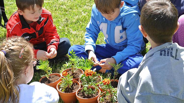 Dass Blumen auch schmecken können, überraschte die Kinder dann doch.