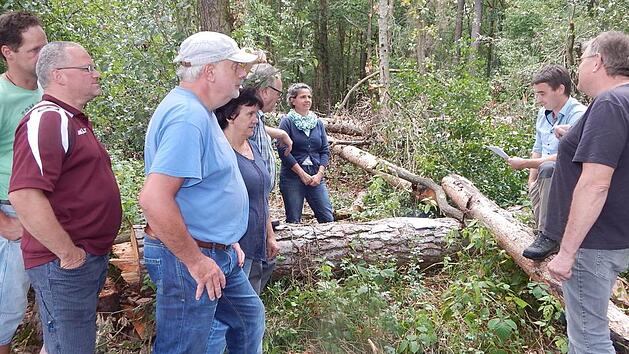 Theo Kaiser von der Waldbauernvereinigung und Forstrat Jörg Summa (von rechts) erläuterten den Waldbauern die Ursachen des Kiefernsterbens und die Möglichkeit, mit Hilfe von Förderanträgen die kranken Bäume kostengünstig zu entfernen.Horst Wunner