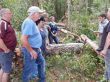 Theo Kaiser von der Waldbauernvereinigung und Forstrat Jörg Summa (von rechts) erläuterten den Waldbauern die Ursachen des Kiefernsterbens und die Möglichkeit, mit Hilfe von Förderanträgen die kranken Bäume kostengünstig zu entfernen.Horst Wunner