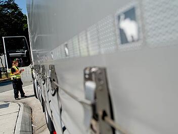 Wo soll's hingehen? Die Polizei nimmt immer wieder speziell Lastwagen in den Blick, die Schleuser für ihre Zwecke nutzen könnten. Oft sind es aber nicht Kontrollen an Schwerpunkten, wie die Ermittlungsbehörden auf Personen aufmerksam werden, die auf diesem Weg versuchen, illegal einzureisen. Symbolbild: Sven Hoppe/dpa