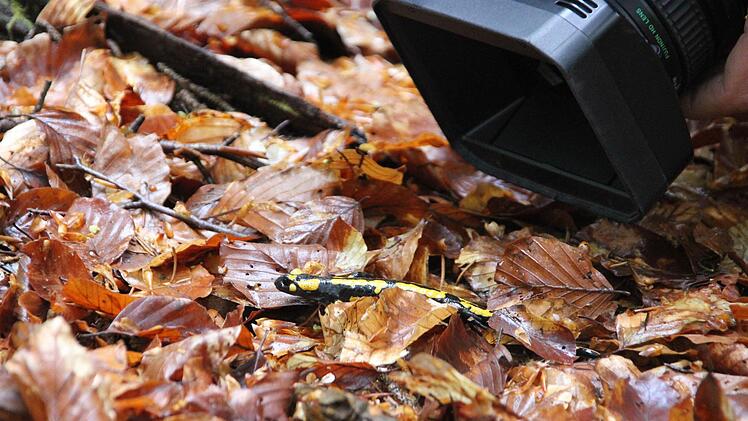 Huch, doch nicht. Mist.