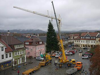 Und fliegen kann er auch noch: Auf dem Neustadter Marktplatz ist gestern der Weihnachtsbaum aufgestellt worden. Foto: Berthold Köhler