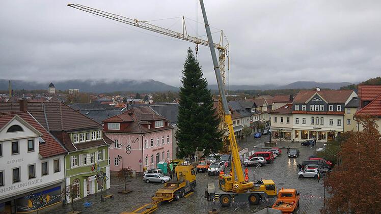 Und fliegen kann er auch noch: Auf dem Neustadter Marktplatz ist gestern der Weihnachtsbaum aufgestellt worden. Foto: Berthold Köhler