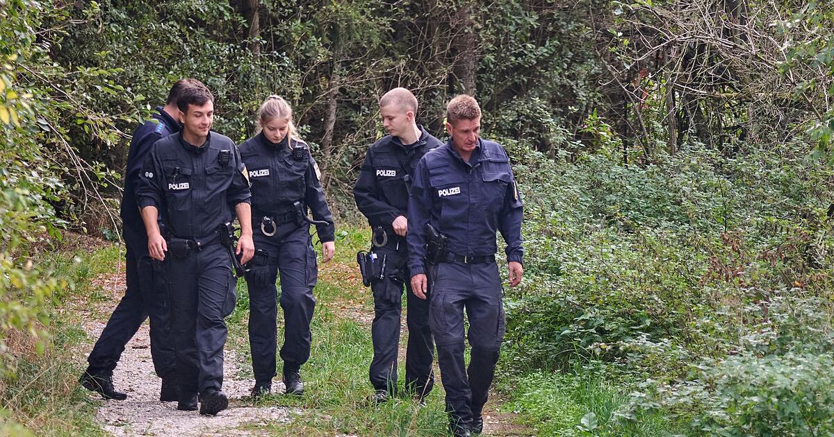 Puma in Bayern unterwegs? Polizei setzt auf neue Methode