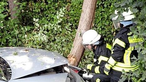 Schwierige Bergung am Baum, voller Einsatz der Feuerwehr Heßdorf.