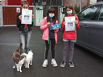 Hajrije, Vernanda und Lina sammelten 110 Euro für das Tierheim Wannigsmühle. Als Dank erhielten sie Urkunden und Schlüsselanhänger und durften drei Kätzchen  einen Namen geben. Foto: Ulla Müller