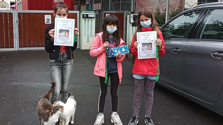 Hajrije, Vernanda und Lina sammelten 110 Euro für das Tierheim Wannigsmühle. Als Dank erhielten sie Urkunden und Schlüsselanhänger und durften drei Kätzchen  einen Namen geben. Foto: Ulla Müller