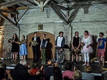 Begeisterten Applaus verdiente sich das Ensemble "Sepp-Depp-Septett" beim Gastspiel in der Alten Pakethalle in Coburg.Foto: Jochen Berger