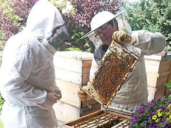 Das Veterinäramt Kronach testet alle Bienenvölker im Sperrgebiet. Auch die Bienen von Petra Geiger (rechts) wurden untersucht: Ihnen geht es gut.  Foto: privat