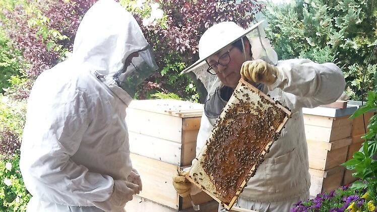 Das Veterinäramt Kronach testet alle Bienenvölker im Sperrgebiet. Auch die Bienen von Petra Geiger (rechts) wurden untersucht: Ihnen geht es gut.  Foto: privat