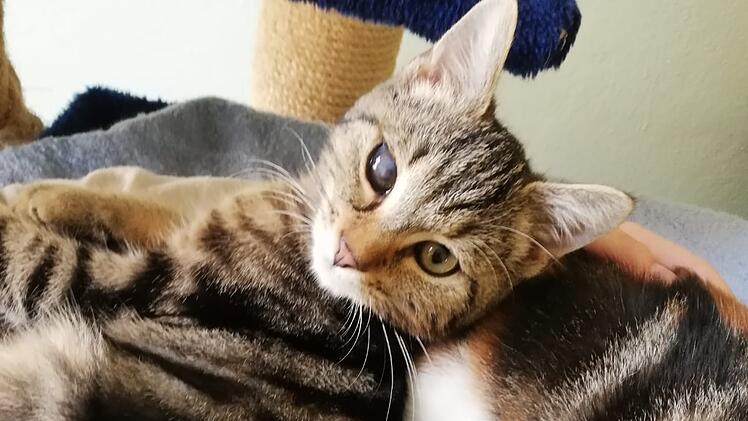 Mandu
