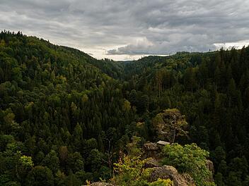 In den kommenden Tagen wechselt das Wetter in Franken von Sonne auf Wolken und Regen, wie hier im Frankenwald. Die Temperaturen sinken. Symbolfoto: Nicolas Armer/dpa
