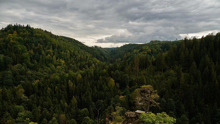 In den kommenden Tagen wechselt das Wetter in Franken von Sonne auf Wolken und Regen, wie hier im Frankenwald. Die Temperaturen sinken. Symbolfoto: Nicolas Armer/dpa