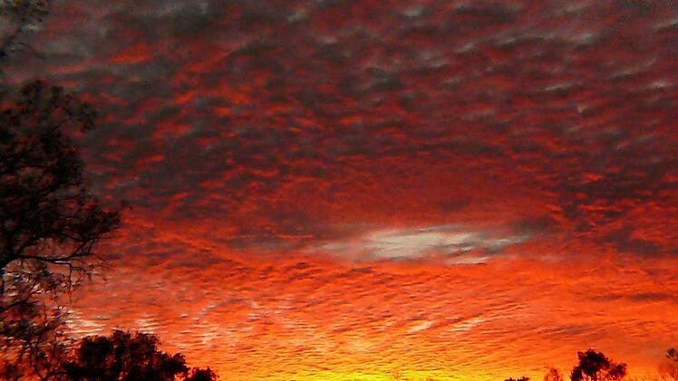 Der Sonnenaufgang hat die Wolken zum Leuchten gebracht.
