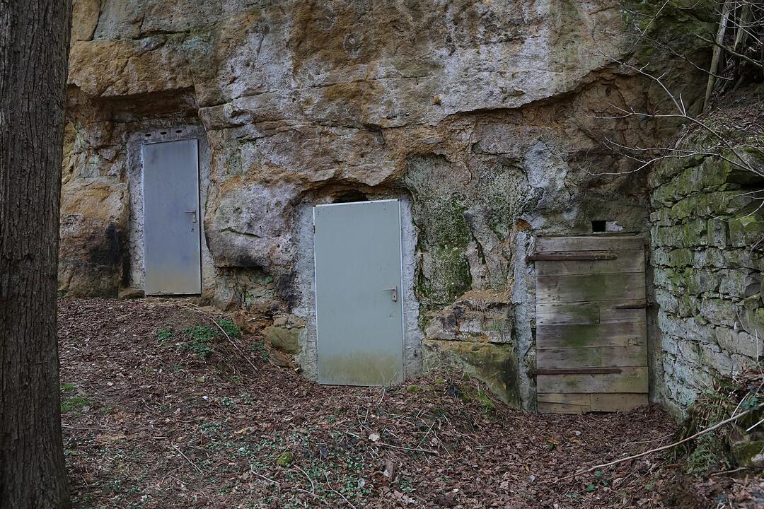 SoS Tiefenst?rmig; Gemeinde Eggolsheim; Foto: Barbara Herbst