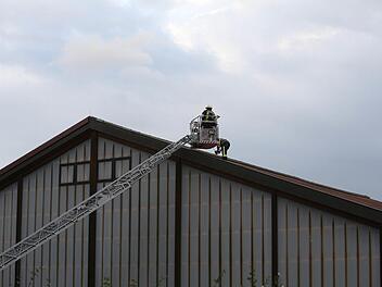 Fotos: News5/Fricke