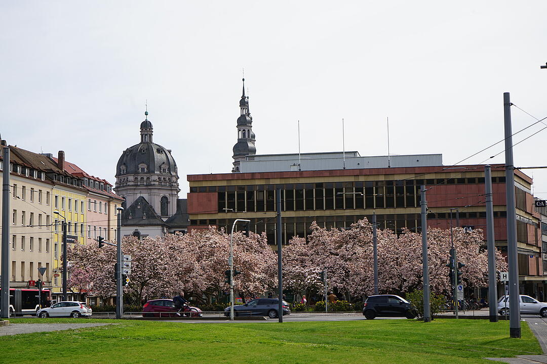 Blühendes Würzburg