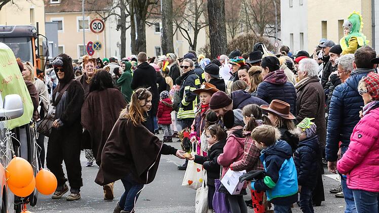 Faschingsumzug in der Bamberger Gartenstadt Foto: Barbara Herbst
