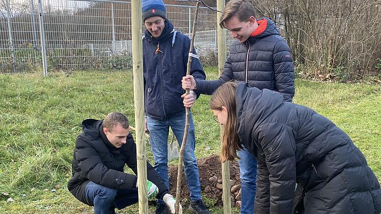 Sch&uuml;lerinnen und Sch&uuml;ler der 11. Klasse des Franz-Miltenberger-Gymnasiums Bad Br&uuml;ckenau pflanzen nach einem Versprechen im Religionsunterricht ein Apfelb&auml;umchen.