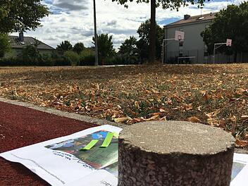 Noch wird an der genauen Belegung des zum Kerwa-Areal umfunktionierten Hallstadter  Schulsportgeländes gefeilt. Foto: Anette Schreiber