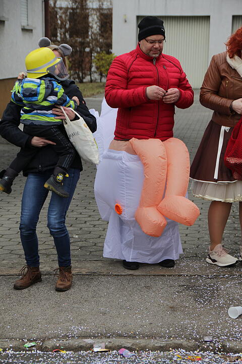 Faschingsumzug in Oberhaid