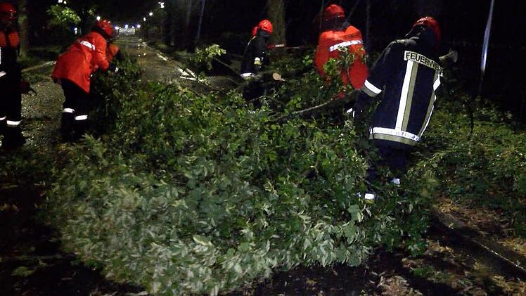 Foto: News5/Grundmann