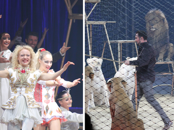 Coburg: Circus Krone feiert Premiere - Tierschützer kündigen Protestaktion an
