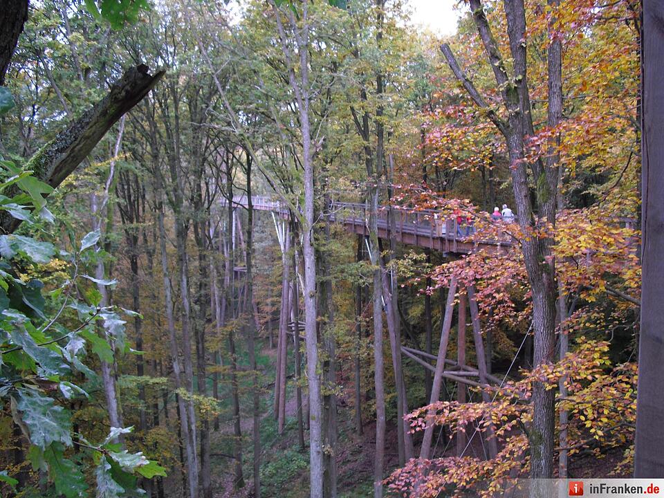 ABO Plus Bus-Wander-Tour Handthal_29.10.2016