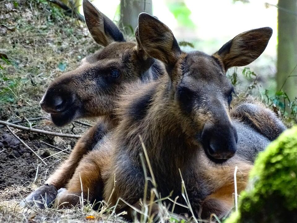 Hochsommer in Bayreuth und Umgebung: Die schönsten Fotos unserer Nutzer
