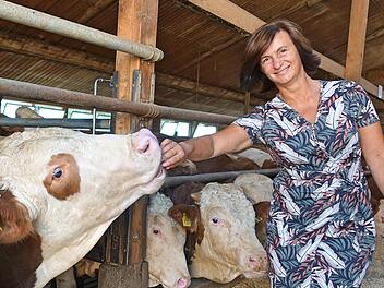 Für Maria Pösch aus Roth ist es wichtig, dass möglichst alle Teile der Rinder an den Kunden gebracht werden. Sie bietet deshalb stets Pakete an, die Fleischstücke verschiedenster Art enthalten.  Fotos: Marion Nikol