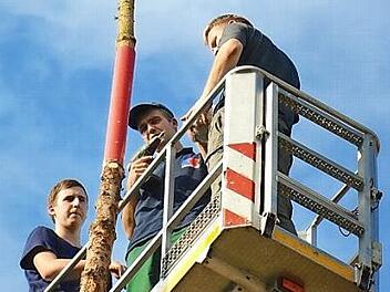 Drei Kerwas-Burschen pelzen den Kerwasbaum auf.  Foto: Roppelt