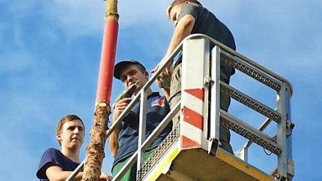 Drei Kerwas-Burschen pelzen den Kerwasbaum auf.  Foto: Roppelt