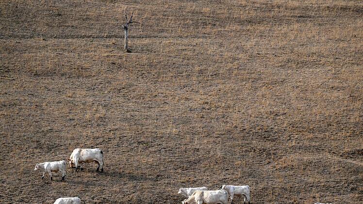 Paris st&uuml;tzt Landwirte nach D&uuml;rresommer mit Milliardenhilfe