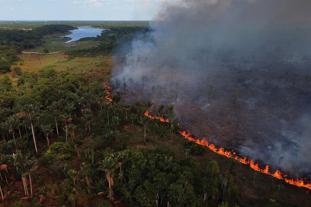 Waldbr&auml;nde in Brasilien
