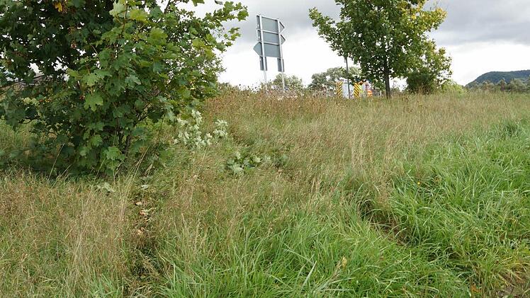 Der Transporter ist zwischen zwei Bäumen die Böschung hinuntergefahren.