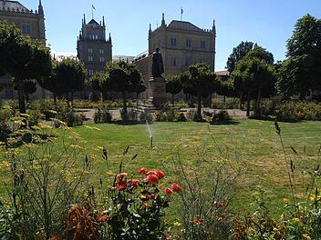 Der Rasen im Schlossplatz-Rondell muss dringend gewässert werden.Foto: Jochen Berger