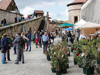 Die Rosenmesse auf der Festung in Kronach war in diesem Jahr ein voller Erfolg. Matthias Hoch