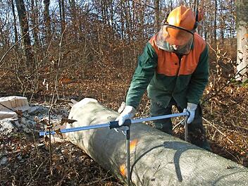 Holz ist ein wichtiger Rohstoff im Bereich der Energiewende geworden. Auf unserem Foto vermisst Forstwirt Thomas Morawietz im Bad Bockleter Gemeindwald einen Buchenstamm.  Foto: Archiv/Stefan Geiger