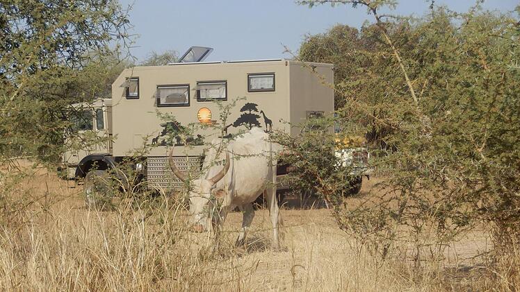 Das Wohnmobil in Afrika Foto: Theo Wittmann