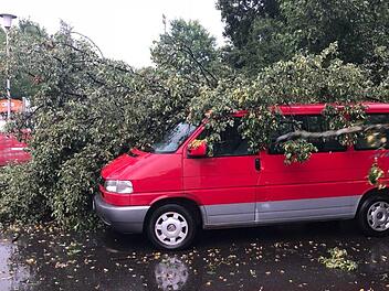 In Adelsdorf stürzten Bäume auch auf Autos.  Foto: Johanna Blum