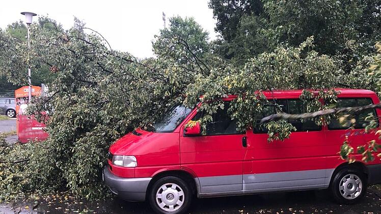 In Adelsdorf stürzten Bäume auch auf Autos.  Foto: Johanna Blum