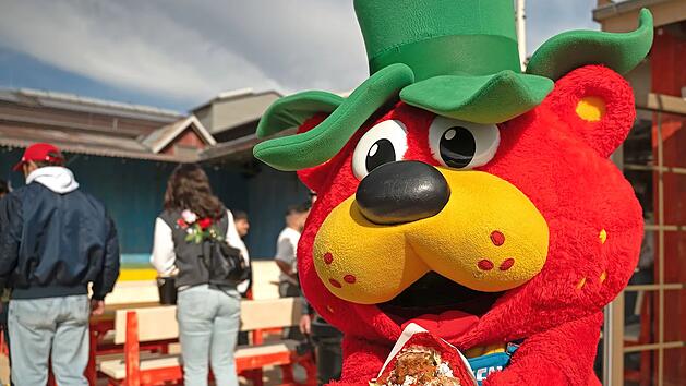 Frankens erstes Erdbeer-"Erlebnis-Dorf" entsteht: Baubeginn im Fr&uuml;hling 2026