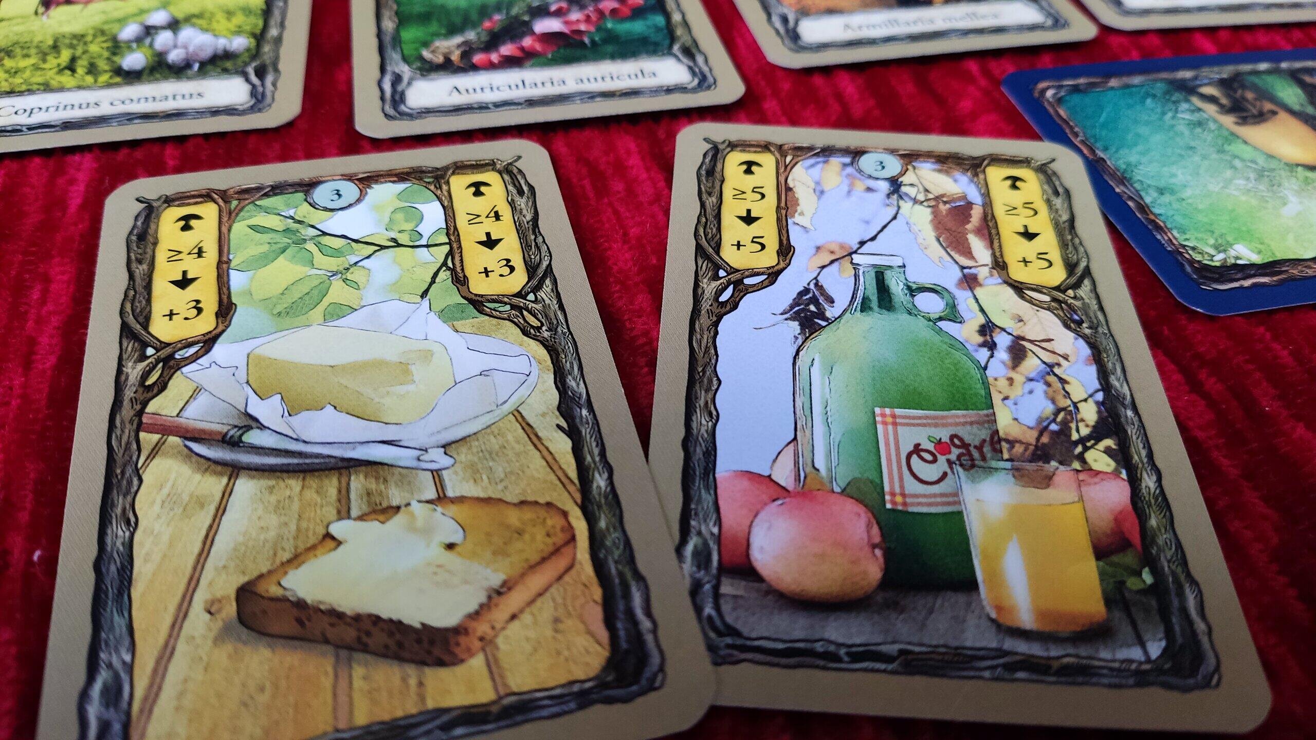 SpieleTest "Fungi" Pilzesammeln im eigenen Wohnzimmer KartenspielTipp für zwei Personen