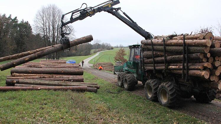 Die Fixlängen werden vom Fahrer des Rückezugs am Waldrand abgelegt. Foto: Friedwald Schedel